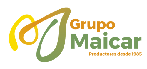 Grupo Maicar